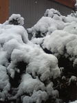 雪の日の風景2